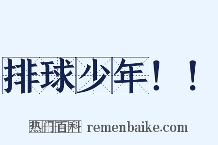 排球少年！！是什么意思的图片